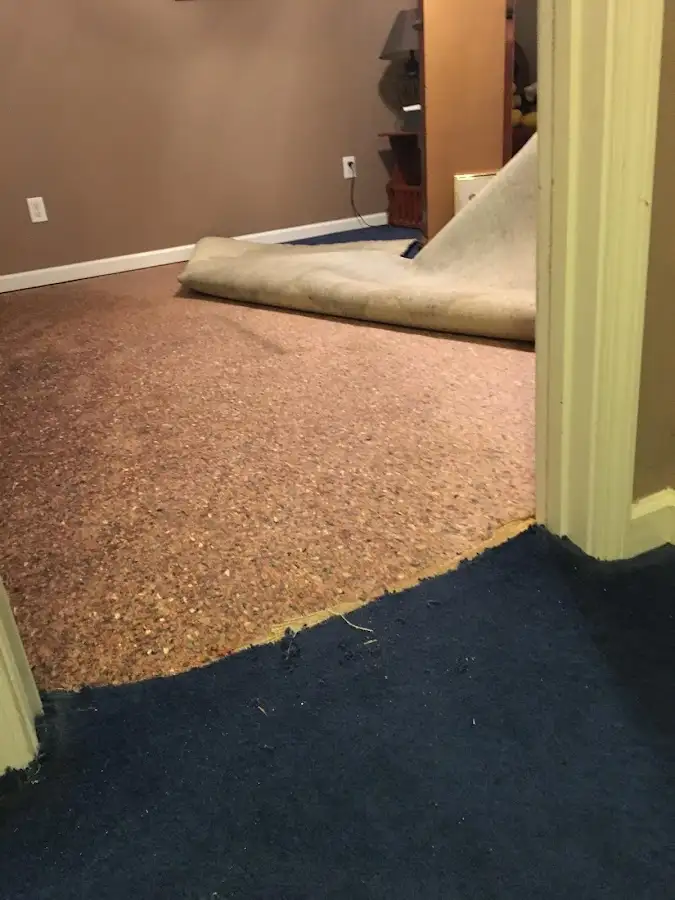 Carpet pad removal revealing water damage during Drying & Dehumidification in Bella Vista