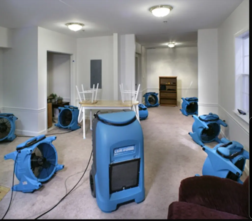 Air movers and dehumidifier setup for Water Extraction & Removal in Bella Vista