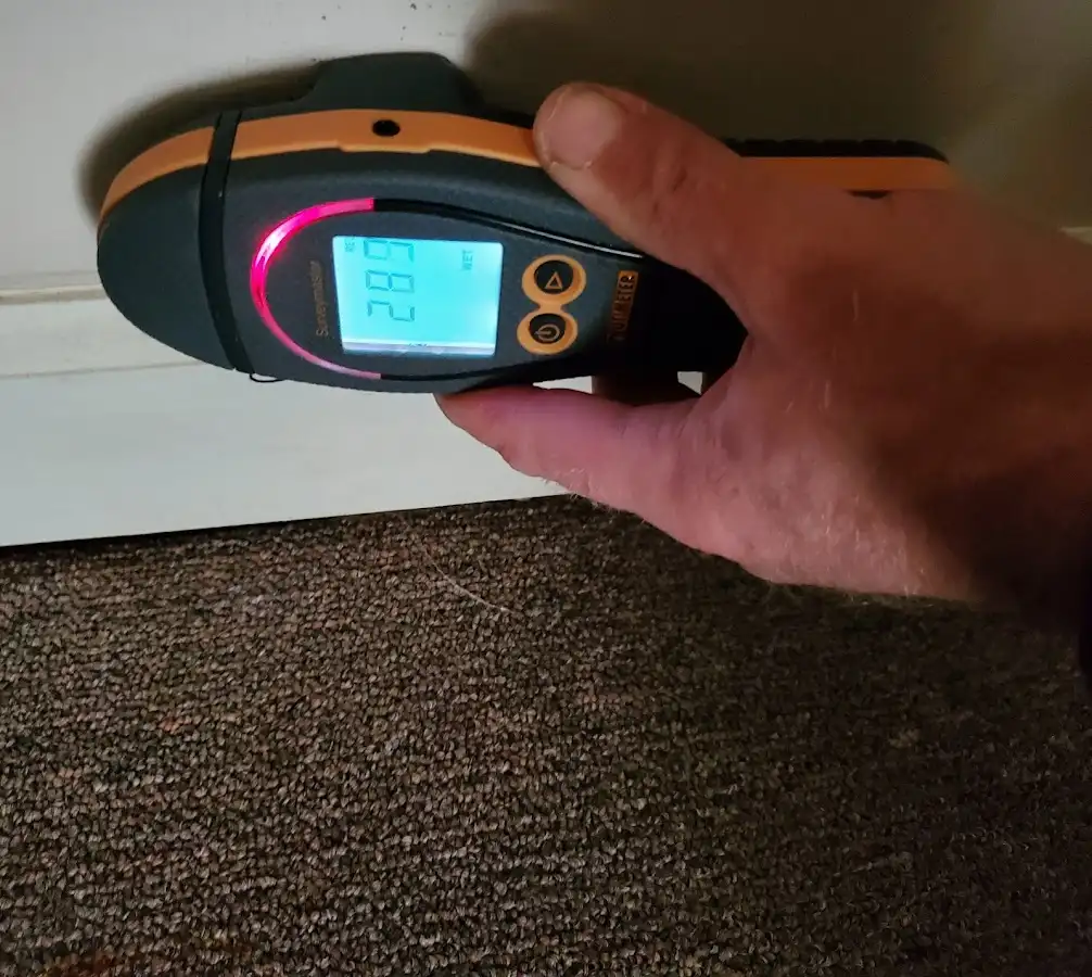 Moisture detection at baseboard during Sewage Cleanup & Sanitation in Bella Vista